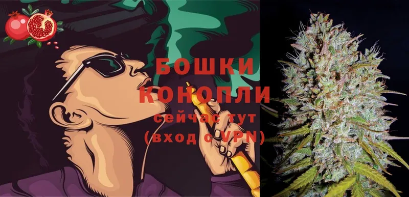 МАРИХУАНА OG Kush  Кирс 